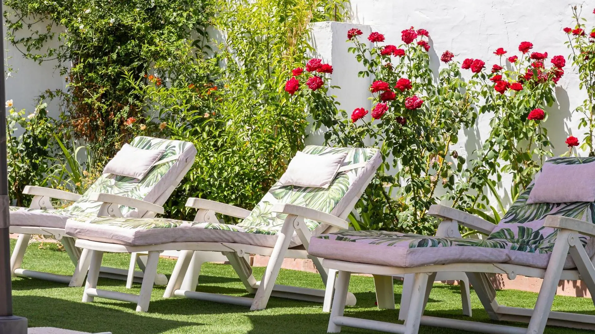 Riad Paraiso En Plena Naturaleza Malaga